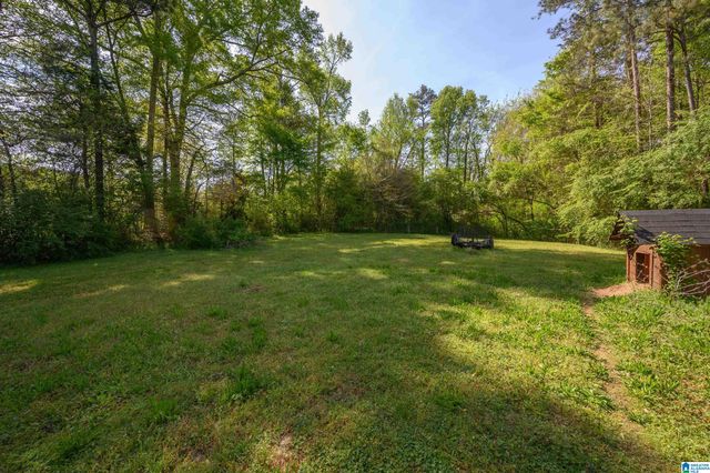 70 PEACEFUL COVE, Springville, AL 35146