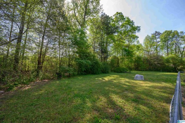 70 PEACEFUL COVE, Springville, AL 35146