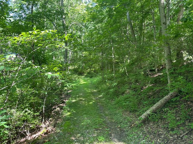 4695 Rabbit Hash Road, Union, KY 41091