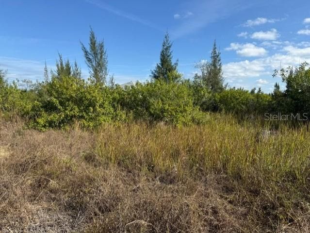 15309 TAURUS CIRCLE, Port Charlotte, FL 33981