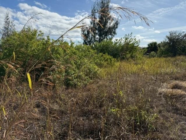 15309 TAURUS CIRCLE, Port Charlotte, FL 33981