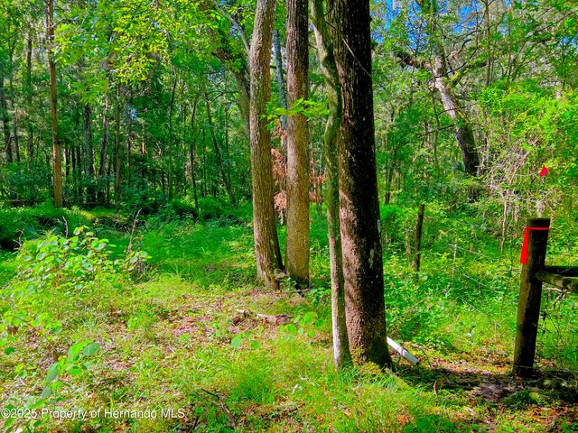 0 Whitman Road, Brooksville, FL 34601
