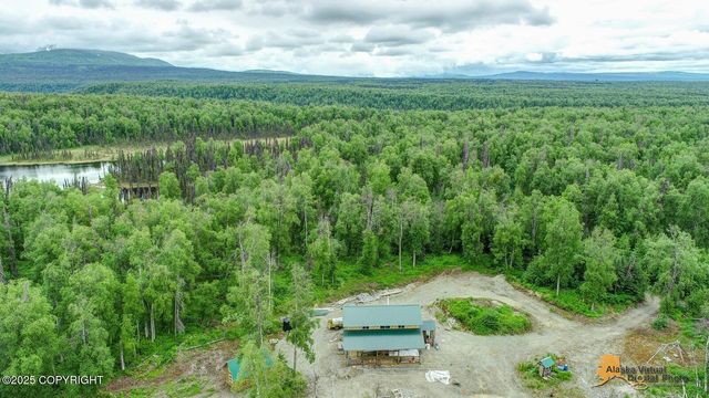 22533 E Big Mountain Drive, Talkeetna, AK 99676