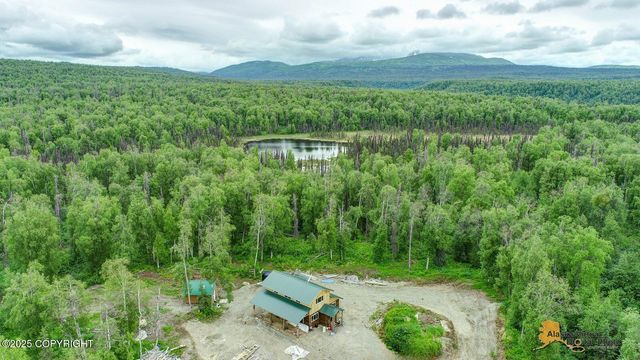 22533 E Big Mountain Drive, Talkeetna, AK 99676