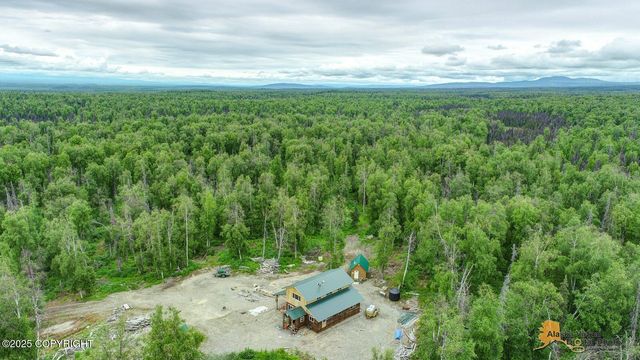 22533 E Big Mountain Drive, Talkeetna, AK 99676
