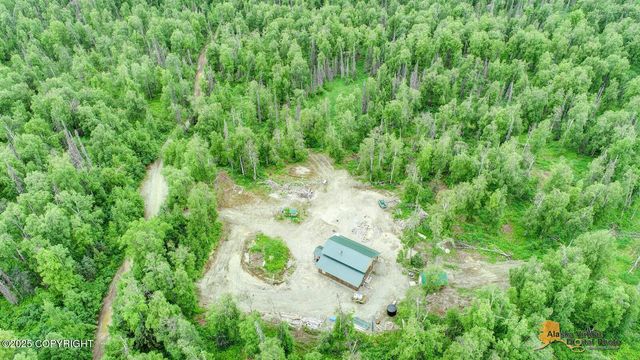 22533 E Big Mountain Drive, Talkeetna, AK 99676