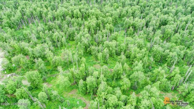 22533 E Big Mountain Drive, Talkeetna, AK 99676