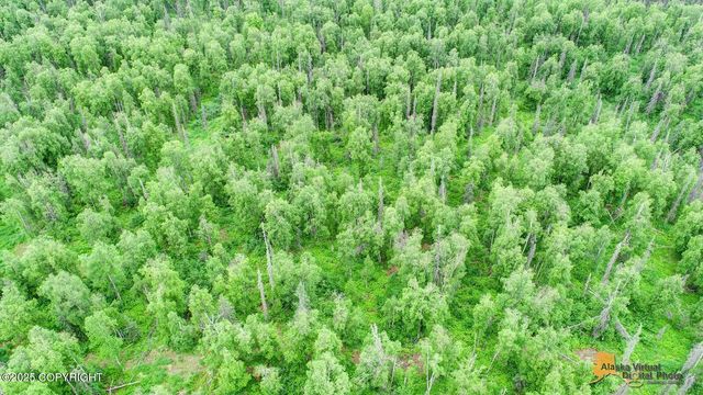 22533 E Big Mountain Drive, Talkeetna, AK 99676