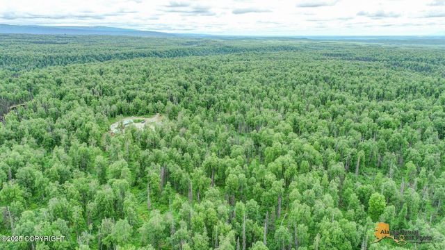22533 E Big Mountain Drive, Talkeetna, AK 99676