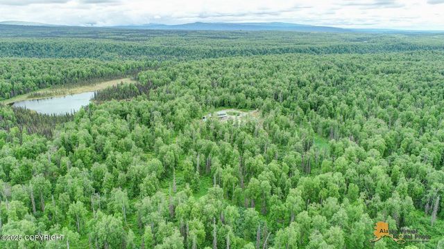 22533 E Big Mountain Drive, Talkeetna, AK 99676