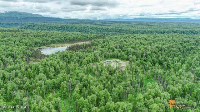 22533 E Big Mountain Drive, Talkeetna, AK 99676