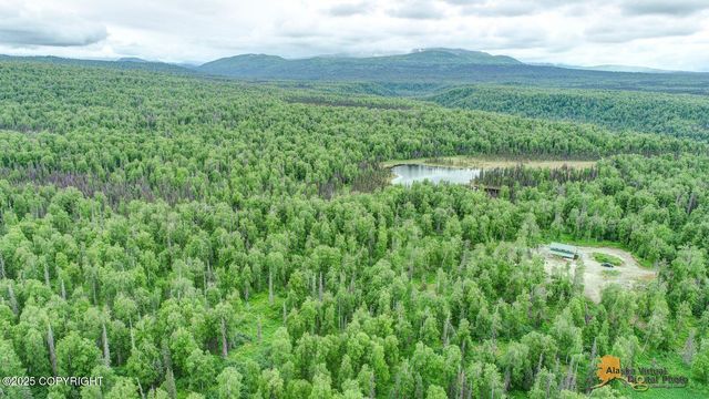 22533 E Big Mountain Drive, Talkeetna, AK 99676