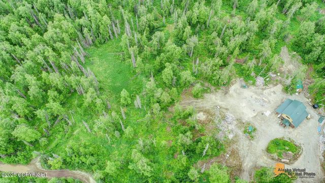 22533 E Big Mountain Drive, Talkeetna, AK 99676