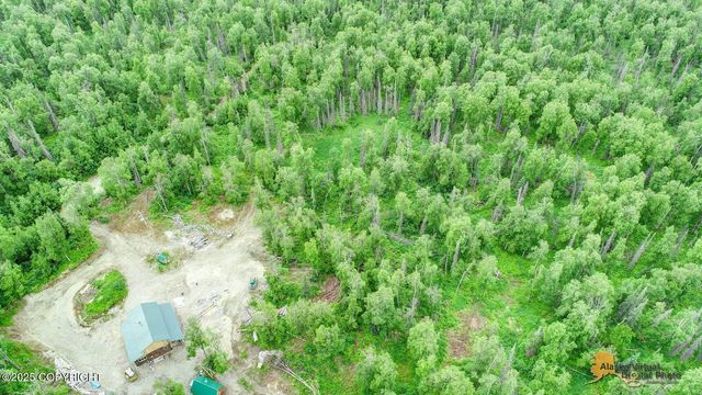 22533 E Big Mountain Drive, Talkeetna, AK 99676