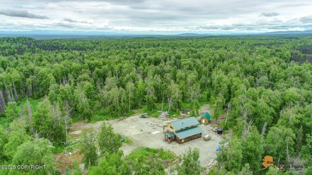22533 E Big Mountain Drive, Talkeetna, AK 99676