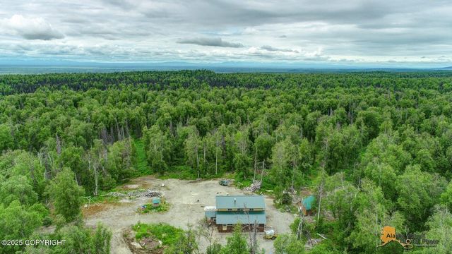 22533 E Big Mountain Drive, Talkeetna, AK 99676