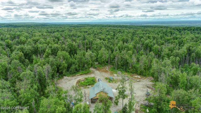 22533 E Big Mountain Drive, Talkeetna, AK 99676