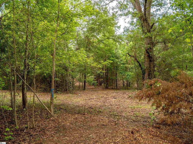 00 Terry Road Lot 5, Fountain Inn, SC 29644