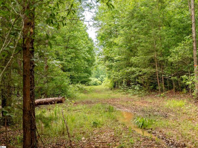 00 Terry Road Lot 5, Fountain Inn, SC 29644