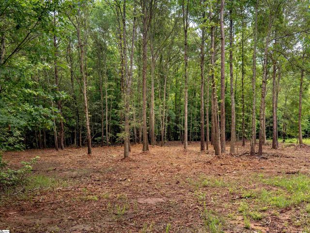 00 Terry Road Lot 5, Fountain Inn, SC 29644