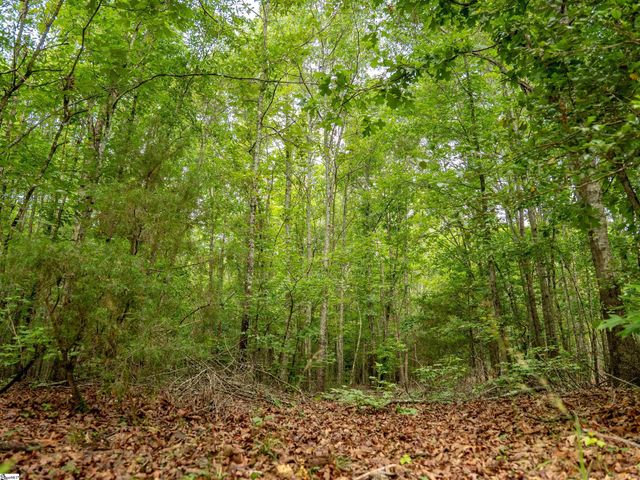 00 Terry Road Lot 5, Fountain Inn, SC 29644