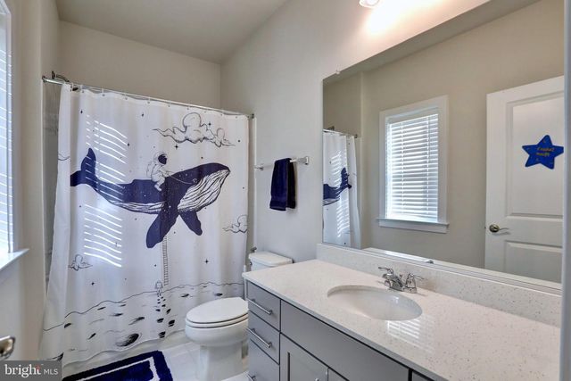 24289 GRAYLEAF WILLOW PL, Aldie, VA 20105