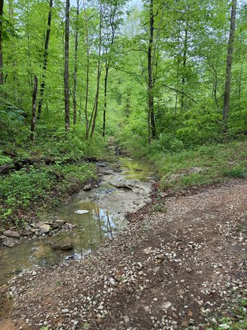 217 Ralph Troxell Road, Monticello, KY 42633