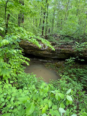 217 Ralph Troxell Road, Monticello, KY 42633