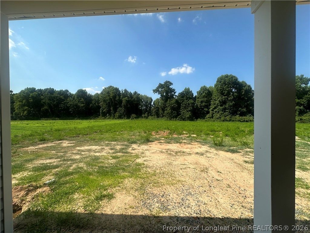 147 Margot Manor Drive, Benson, NC 27504 — photo 6