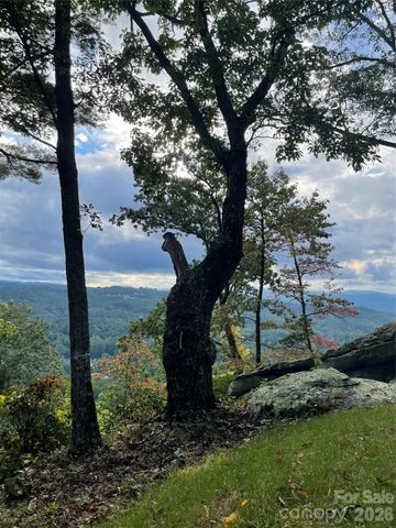 E11 Marble Heights Trail, Hendersonville, NC 28791