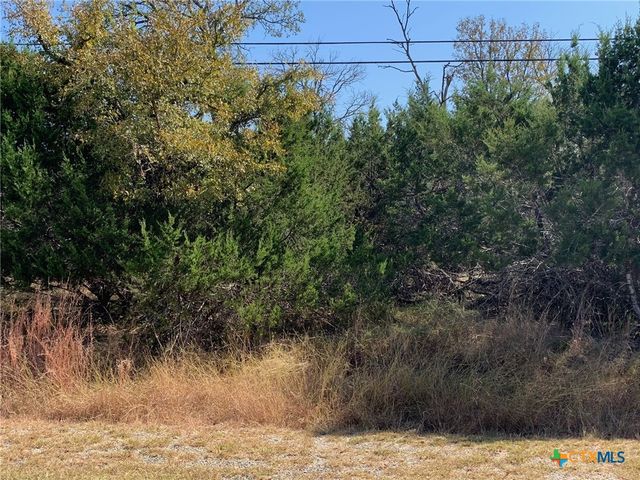 TBD (ID 319590) Cheyenne Pass, Salado, TX 76571