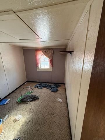 161 W Ludington Drive, Farwell, MI 48622