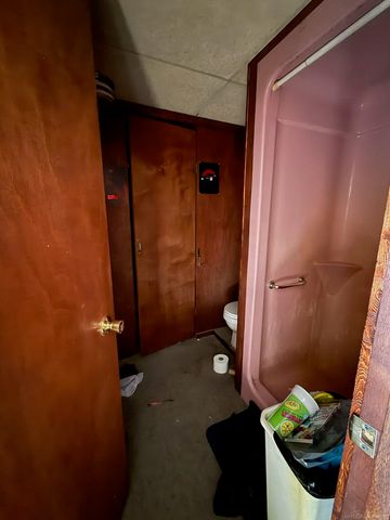 161 W Ludington Drive, Farwell, MI 48622