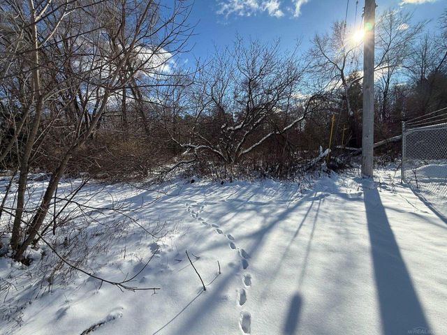 161 W Ludington Drive, Farwell, MI 48622