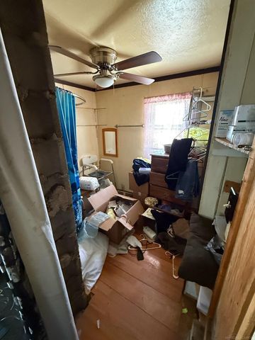 161 W Ludington Drive, Farwell, MI 48622