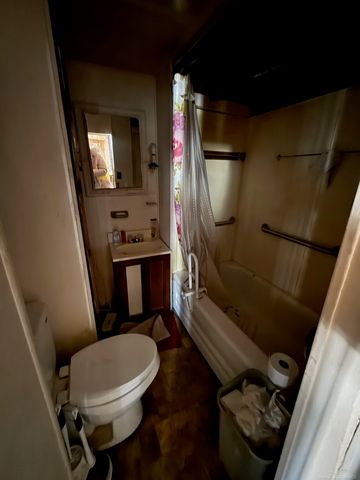 161 W Ludington Drive, Farwell, MI 48622