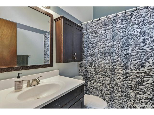 571 Wisp Creek Dr, Bailey, CO 80421