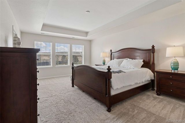 15048 Yellowthroat Street, Parker, CO 80134