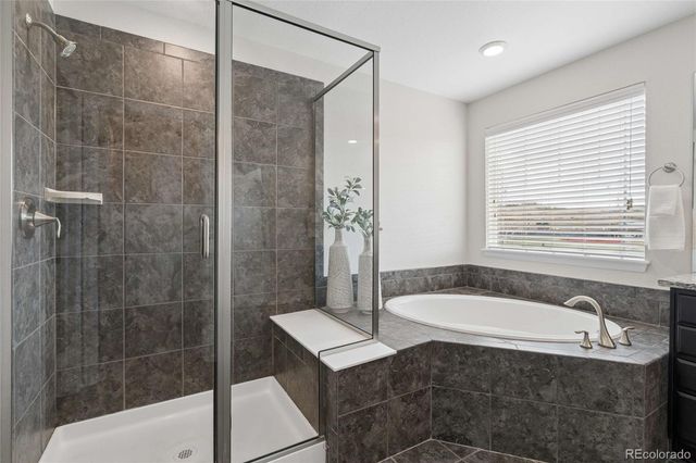 15048 Yellowthroat Street, Parker, CO 80134