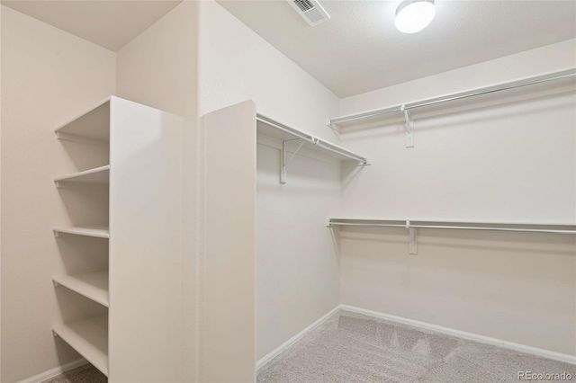 15048 Yellowthroat Street, Parker, CO 80134