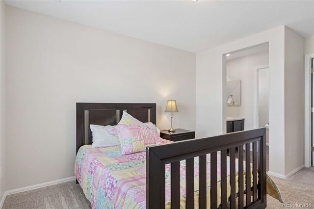 15048 Yellowthroat Street, Parker, CO 80134