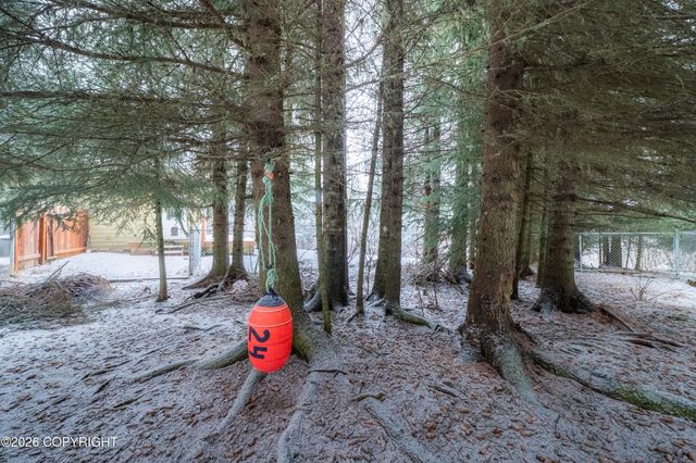 109 Cozy Cove Drive, Homer, AK 99603