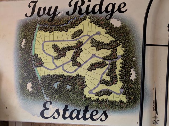161 Arbor Way, Blue Ridge, GA 30513