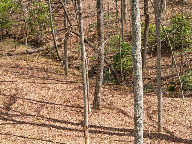 161 Arbor Way, Blue Ridge, GA 30513
