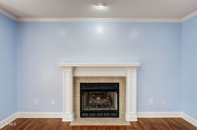 1406 Martins Glen Lane, Gray, TN 37615
