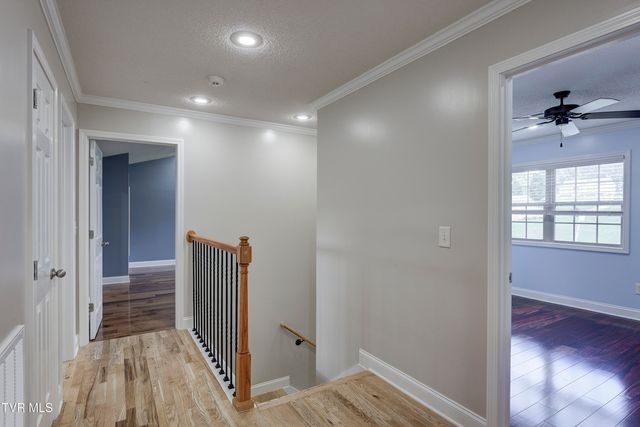 1406 Martins Glen Lane, Gray, TN 37615
