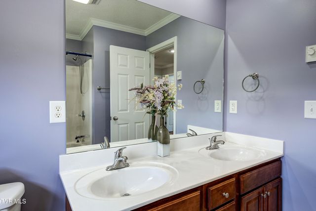 1406 Martins Glen Lane, Gray, TN 37615