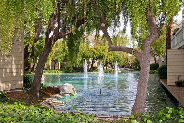 905 W Middlefield Road 917, Mountain View, CA 94043