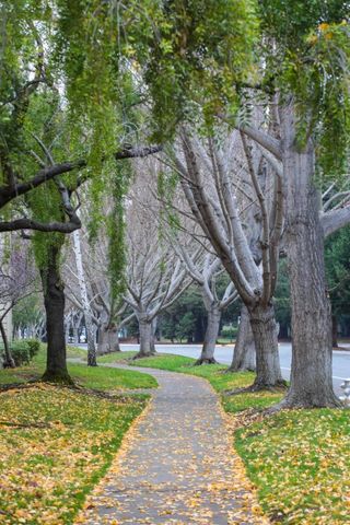 905 W Middlefield Road 917, Mountain View, CA 94043