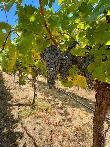 109 Glass Mountain Ln, St. Helena, CA 94574